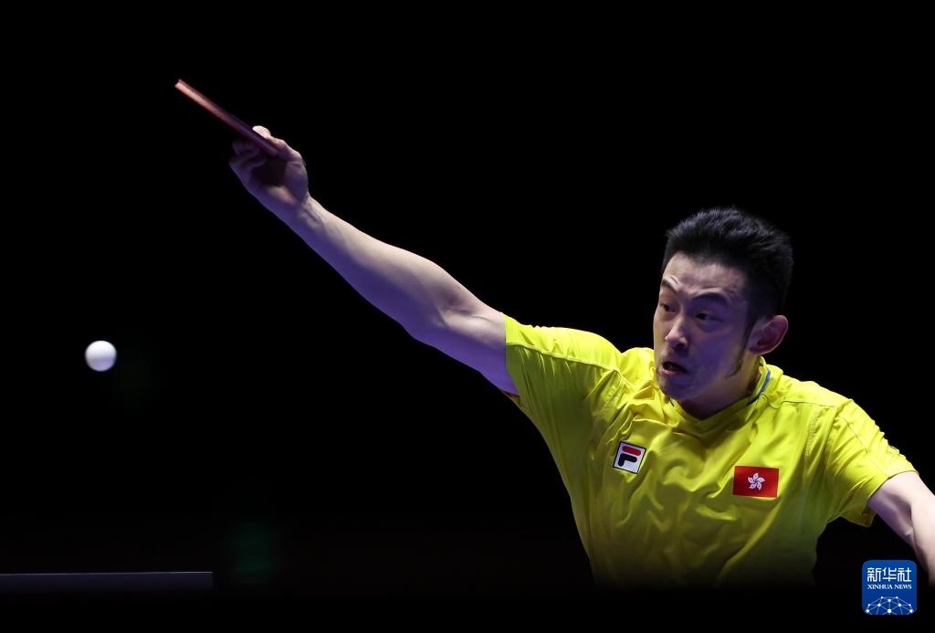 不仅提升了 不仅提升了