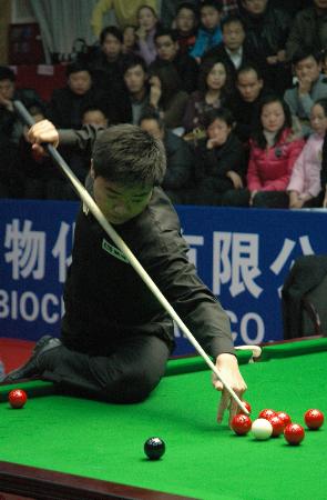 媒体上的活 媒体上的活